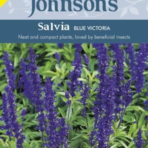 Johnson Seeds - Flower - Salvia Blue Victoria - 250 Seeds