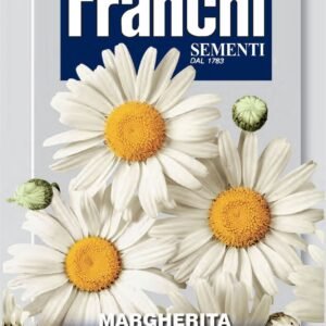Franchi Seeds of Italy - Flower - FDBF_ 336-1 - Margherita - Gigante - Seeds