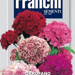 Franchi Seeds of Italy - Flower - FDBF_ 325-8 - Carnation - Garofano Poeti Doppio Mix - Seeds