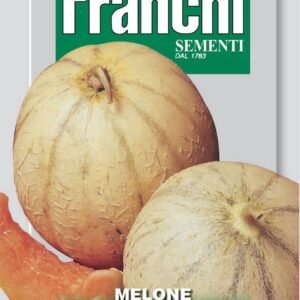 Franchi Seeds of Italy - DBO 91/5 - Melon - Cantalupo Di Charentais - Seeds