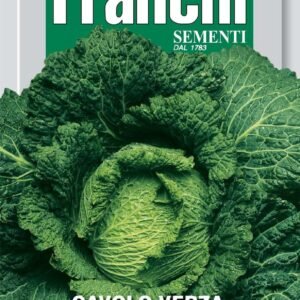 Franchi Seeds of Italy Savoy Cabbage Mantovano Seeds