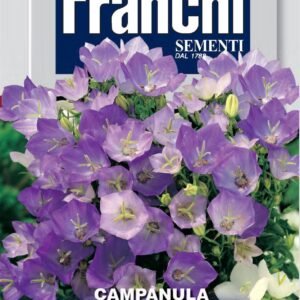 Franchi Seeds of Italy - Flower - FDBF_ 310-10 - Campanula carpatica Blue - American Harebell - Seeds