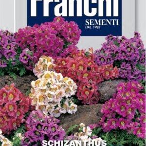 Franchi Seeds of Italy - Flower - FDBF_ 350-1 - Schizantus - Mix - Seeds