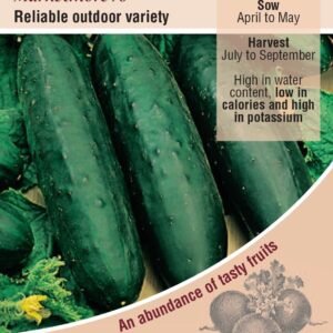 Kings Seeds Cucumber Marketmore 76 Seeds