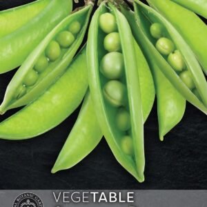 Thompson & Morgan Kew Vegetable Pea Sugar Ann - 450 Seeds