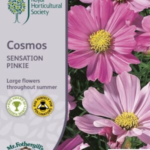 Mr Fothergills RHS Cosmos Sensation Pinkie 150 Seeds