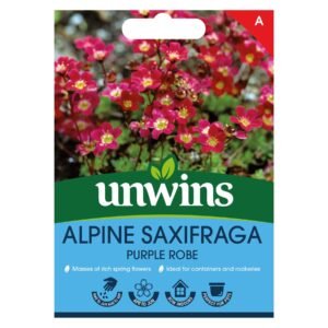 Unwins Flower Saxifraga x arendsii Purple Robe - 50 Seeds