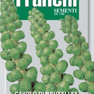 Franchi Seeds of Italy - DBO 24/2 - Brussel Sprouts - Mezzo Nano - Seeds
