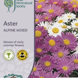 Mr Fothergills RHS Aster Alpine Mixed 250 Seeds