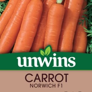 Unwins Carrot Norwich F1 300 Seeds