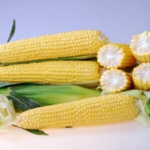 Sweet Corn  Braveheart F1 Hybrid Seed