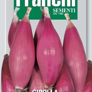 Franchi Seeds of Italy Onion Tropea Rossa Lunga Seeds