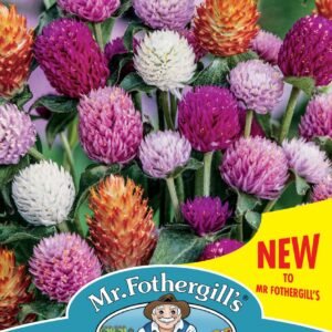 Mr Fothergills - Flower - Gomphrena - Mixed - 50 Seeds
