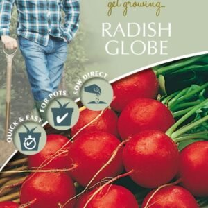 Mr Fothergills - David Domoney - Vegetable - Radish - Globe Lucia F1 - 500 Seeds