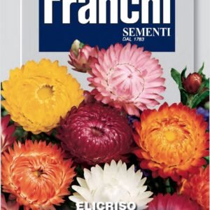 Franchi Seeds of Italy - Flower - FDBF_ 318-1 - Semprevivo - Everlasting Flower - Seeds