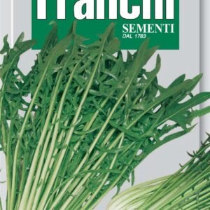 Franchi Seeds of Italy Chicory Catalogna Pugliese Seeds