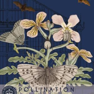 Thompson & Morgan Kew Pollinators Flower Night Scented Stock - 1100 Seeds