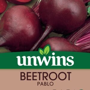 Unwins Beetroot (Round) Pablo 200 Seeds
