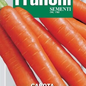 Franchi Seeds of Italy Carrot Nantes 2 - Seeds