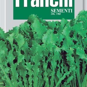 Franchi Seeds of Italy Endive Romanesca Da Taglio Seeds