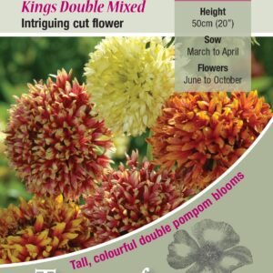 Kings Seeds Gaillardia Pulchella Kings Double Mixed 300 Seed