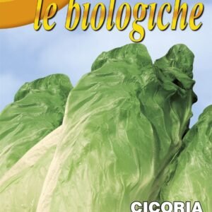 Franchi Organic BIOB40/10 Chicory Pan di Zucchero Seeds