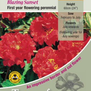 Kings Seeds Geum Flora Plena Blazing Sunset 50 Seed
