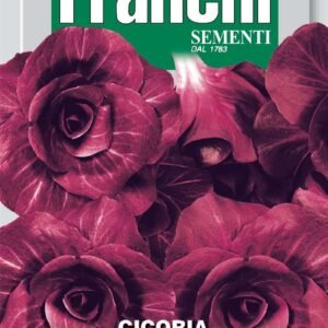 Franchi Seeds of Italy - DBO 40/72 - Chicory - Grumolo Rossa - Seeds