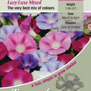 Kings Seeds Ipomoea purpurea Lazy Luxe Mixed 60 Seed
