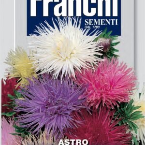 Franchi Seeds of Italy - Flower - FDBF_ 304-11 - Aster unicum - Multicolour - Seeds