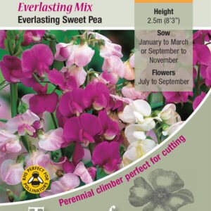 Kings Seeds Lathyrus Everlasting Mix 20 Seed