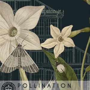 Thompson & Morgan Kew Pollinators Flower Nicotiana - 2000 Seeds