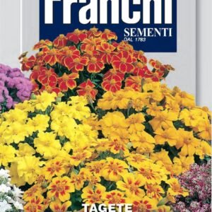 Franchi Seeds of Italy - Flower - FDBF_ 353-4 - Marigold - Tagete Patula Nana Mix - Seeds