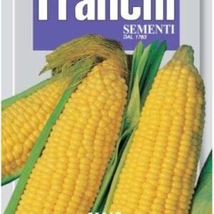 Franchi Seeds of Italy - DBO 88/25 - Sweetcorn - Zuccherino - Seeds