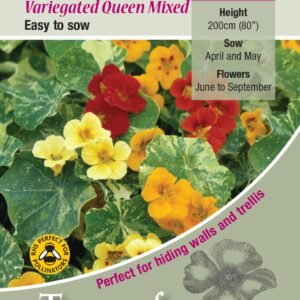 Kings Seeds Nasturtium Variegated Queen Mixed Seeds