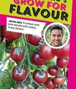 Sutton Seeds - Tomato Rosella Seeds