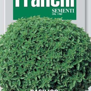 Franchi Basil Fine Verde Nano Compatto A Palla Seeds