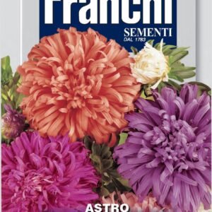 Franchi Seeds of Italy - Flower - FDBF_ 304-9 - Aster piuma - di Struzzo Multicolour - Seeds