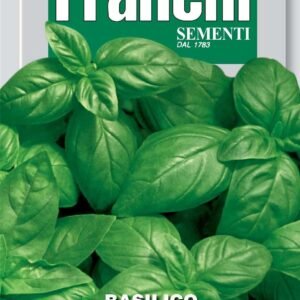 Franchi Basil Italiano Classico Seeds