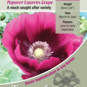 Kings Seeds Poppy Laurens Grape 500 Seed