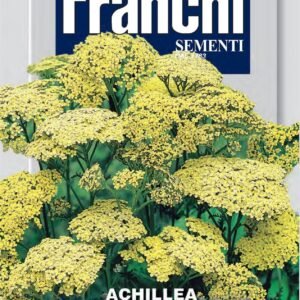 Franchi Seeds of Italy - Flower - FDBF_ 300-40 - Achillea Filipendulina - Gialla - Seeds