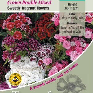 Kings Seeds Sweet William Crown Double Mixed 500 Seed