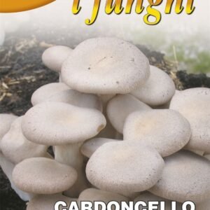 FRANCHI - KING MUSHROOM - PLEUROTUS ERYNGII - 100G