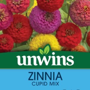 Unwins Zinnia Cupid Mix 60 Seeds