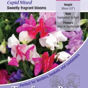 Kings Seeds Sweet Pea Cupid Mixed 20 Seed