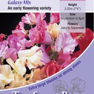Kings Seeds Sweet Pea Galaxy Mix 20 Seeds