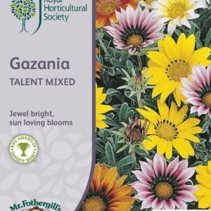 Mr Fothergills RHS Gazania Talent Mixed 25 Seeds