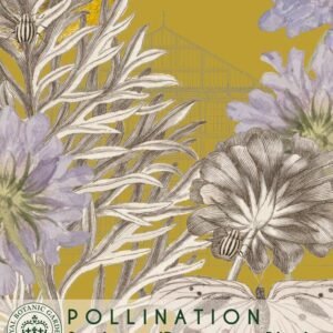 Thompson & Morgan Kew Pollinators Flower Scabious Perfection Blue - 25 Seeds