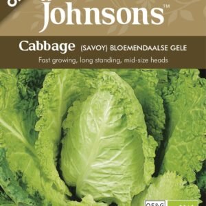 Johnsons Organic Cabbage (Savoy) Bloemendaalse Gele 30 Seeds