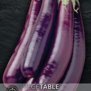 Thompson & Morgan Kew Vegetable Aubergine Hansel F1 - 6 Seeds